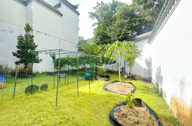 九洲绿城翠湖香山(别墅)5室3厅458㎡2300万二手房图片