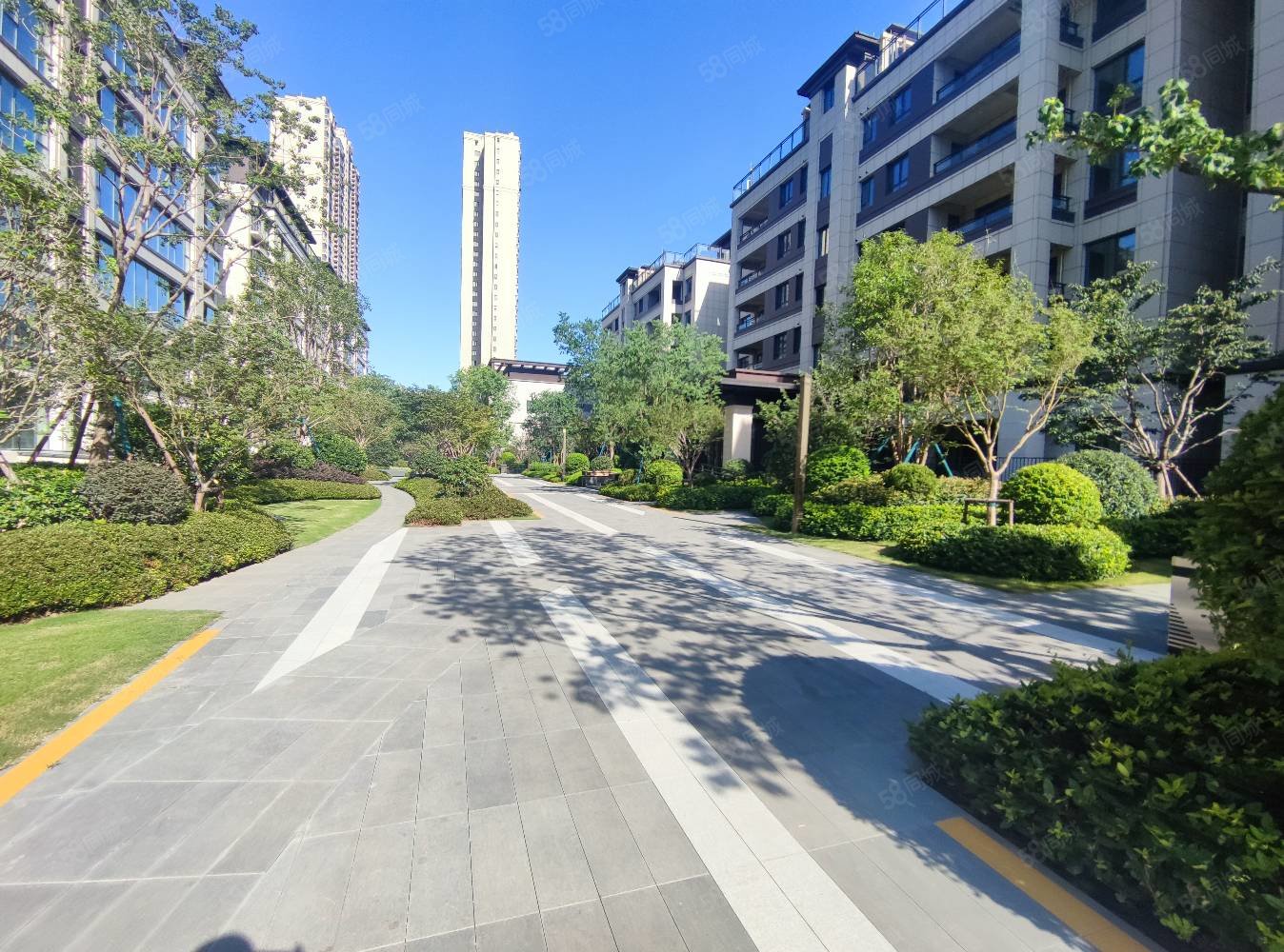 金泰锦府5室3厅3卫265㎡南北599万