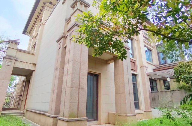 龙湖湘风原著(A3别墅)5室3厅197.52㎡398万二手房图片