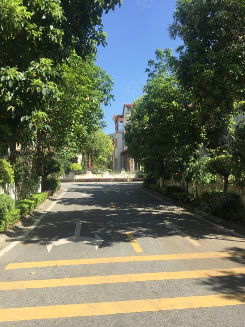 250方花园 业主诚意急售155万,珀丽湾(别墅)-肇庆58同城