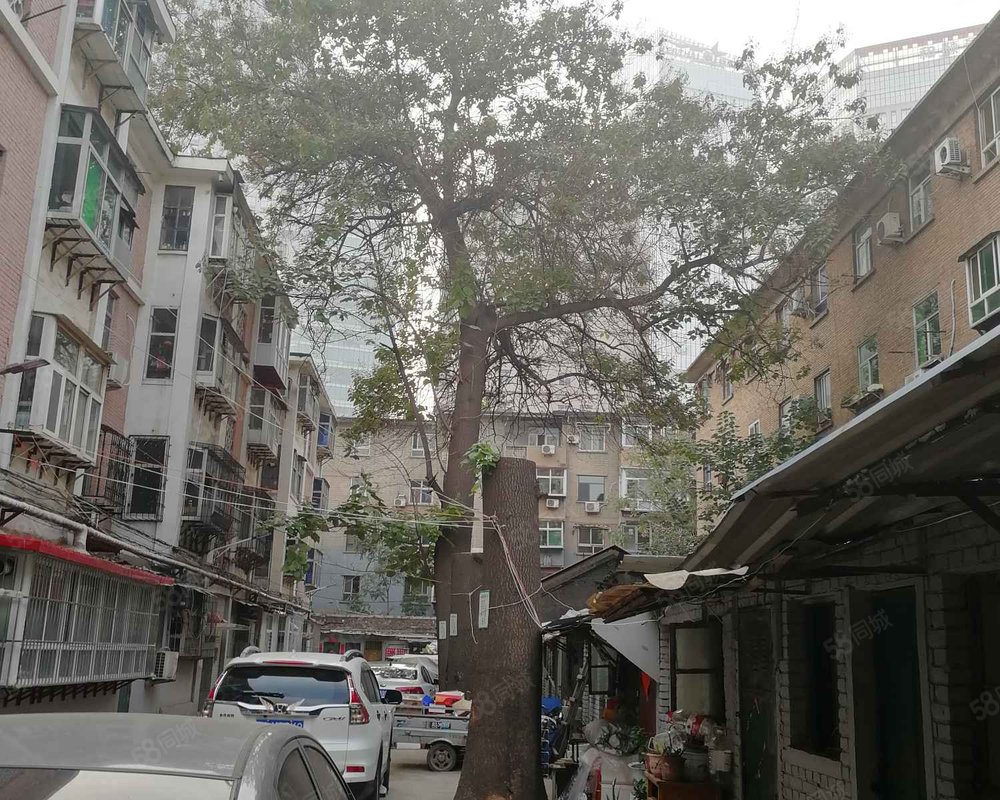 小马村商品楼小区详情,房价走势,房源,业主论坛】- 石家庄58同城