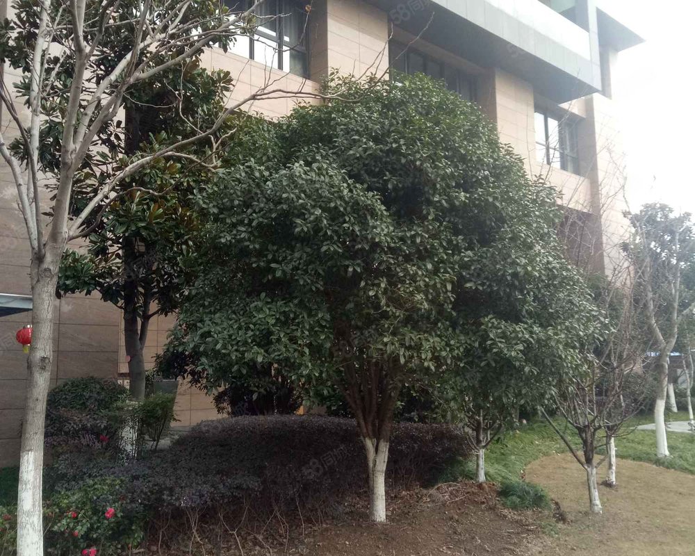 【恒元悦府, 恒元悦府小区详情,房价走势,房源,业主论坛】- 慈溪58