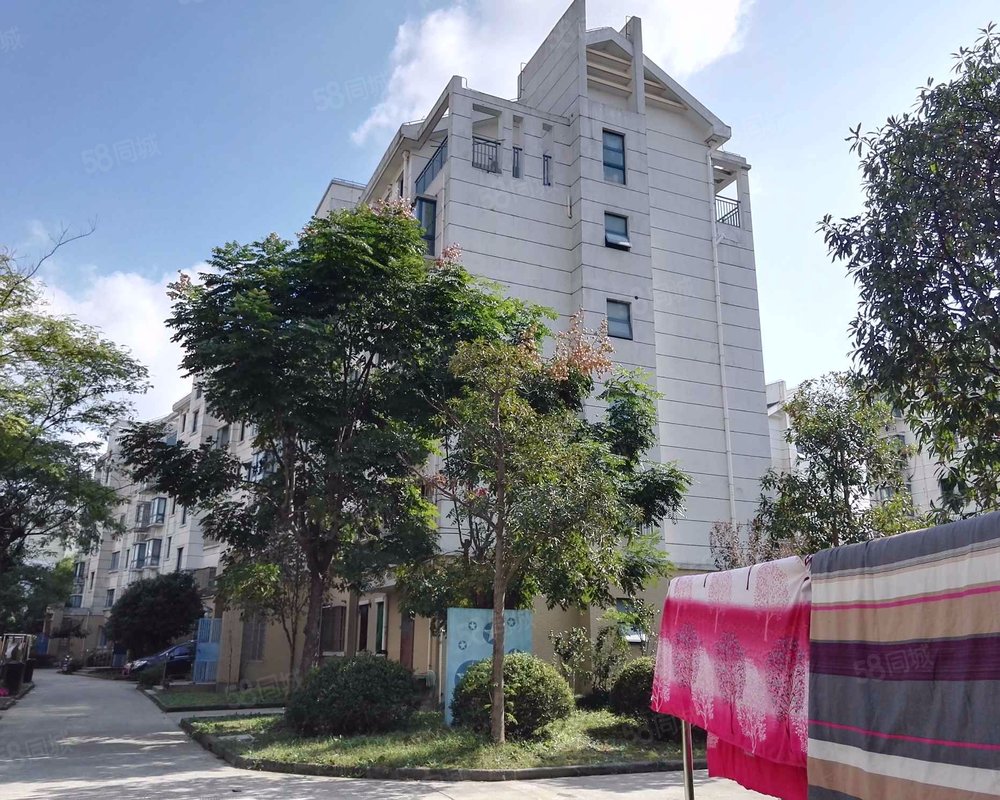 【柘林海韵馨苑(公寓住宅), 柘林海韵馨苑(公寓住宅)小区详情,房价