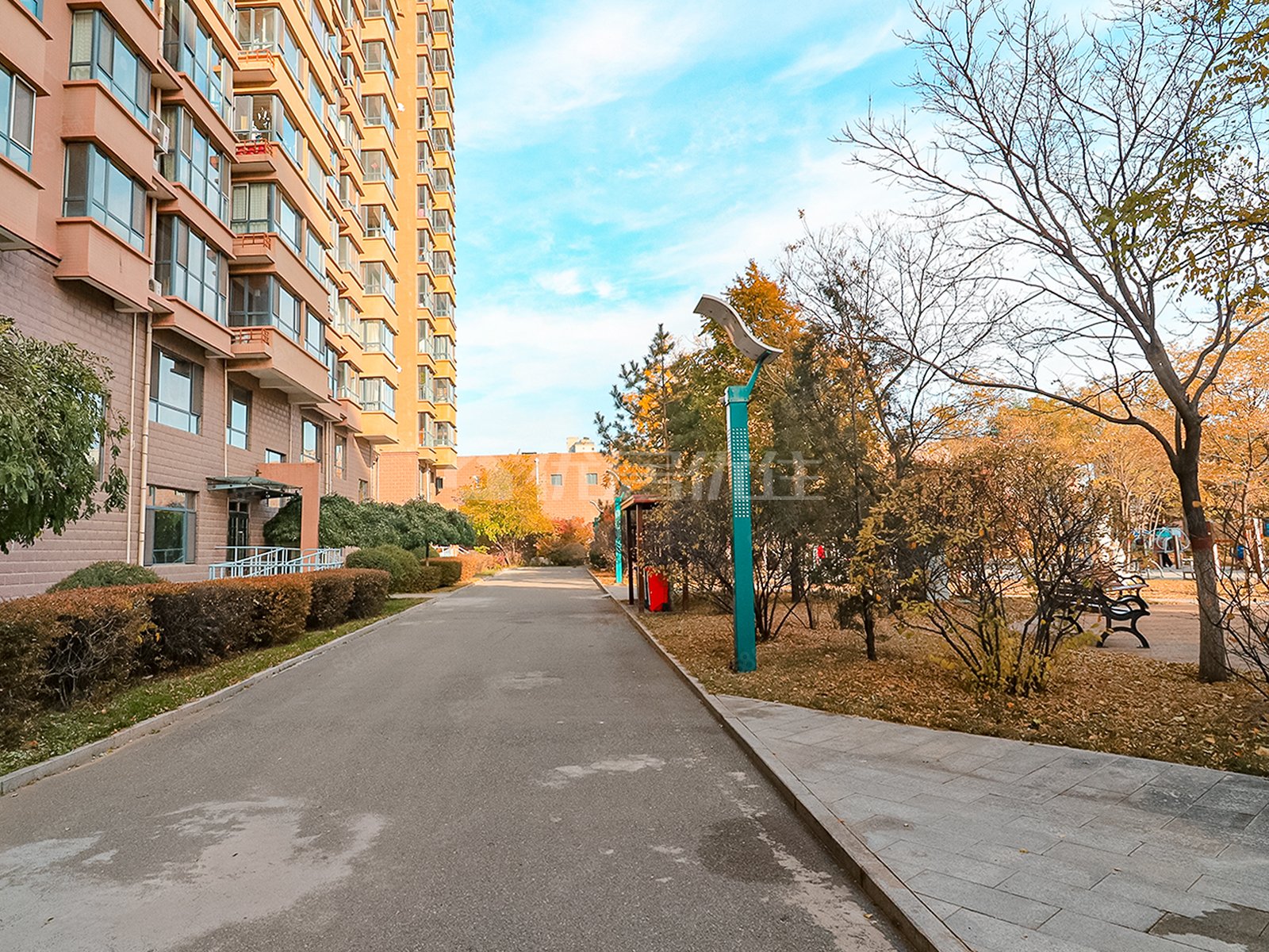 龙谷华庭 精装三室 全天采光 房本房本五年外