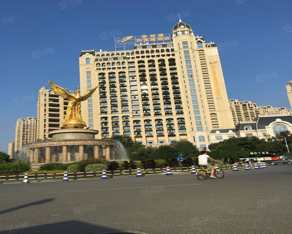 碧桂园凤凰城凤仪苑