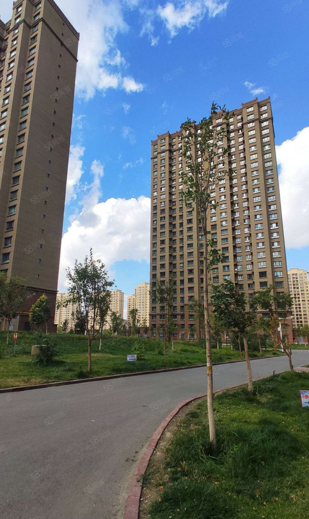 紫金城近八一中学75万南北通透146平全民户型