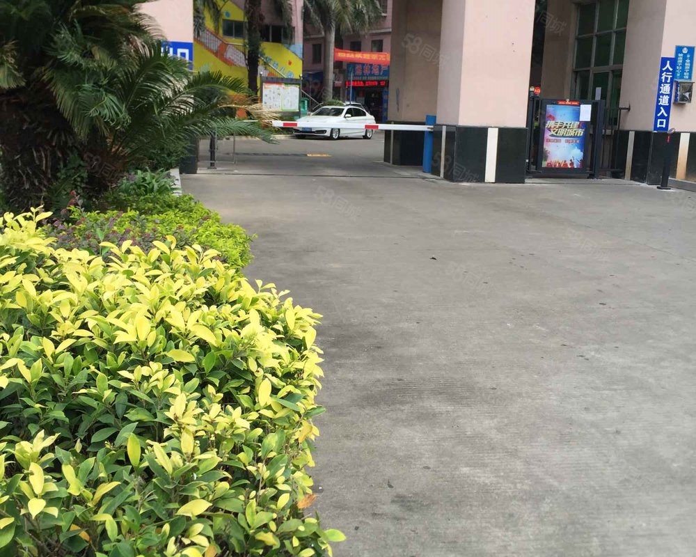 【加州花园(万江), 加州花园(万江)小区详情,房价走势,房源,业主论坛