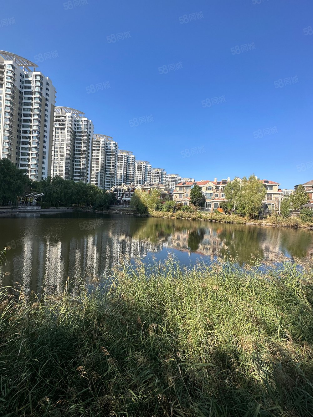 森林逸城别墅专卖年底急用钱抄底出售一跃二带双花园