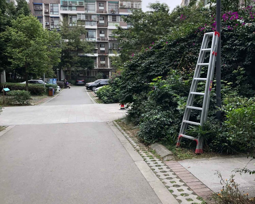 【泊岸龙桥, 泊岸龙桥小区详情,房价走势,房源,业主论坛】- 成都58