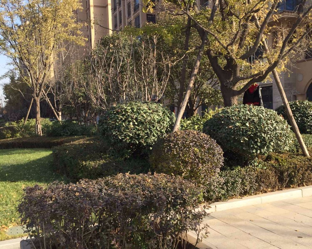 【紫薇曲江意境, 紫薇曲江意境小区详情,房价走势,房源,业主论坛】