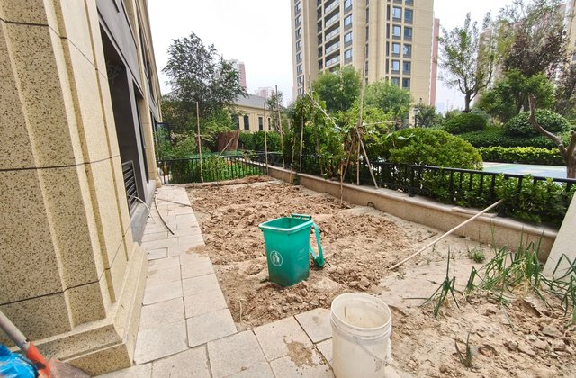 一楼带院子60平 百合新城一二期  免大税 三室朝阳