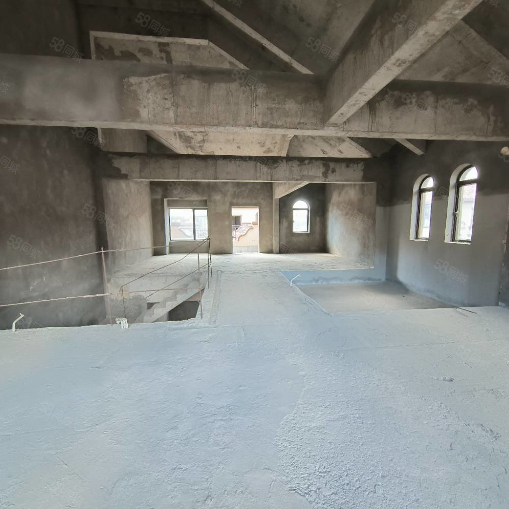 北部新洲莱茵别墅8室3厅7卫540㎡南北396万