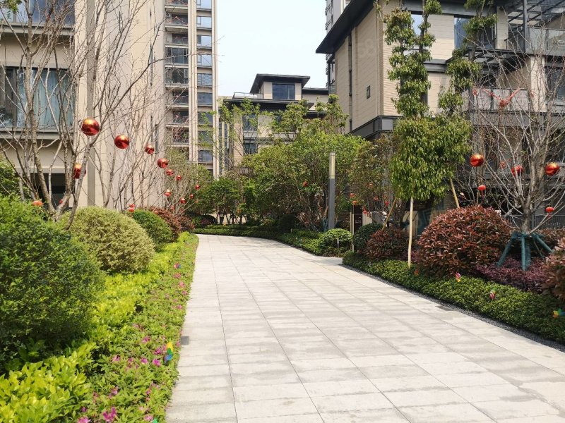 万象城隔壁温州万象天地精装高层视野开阔看三垟湿地公园