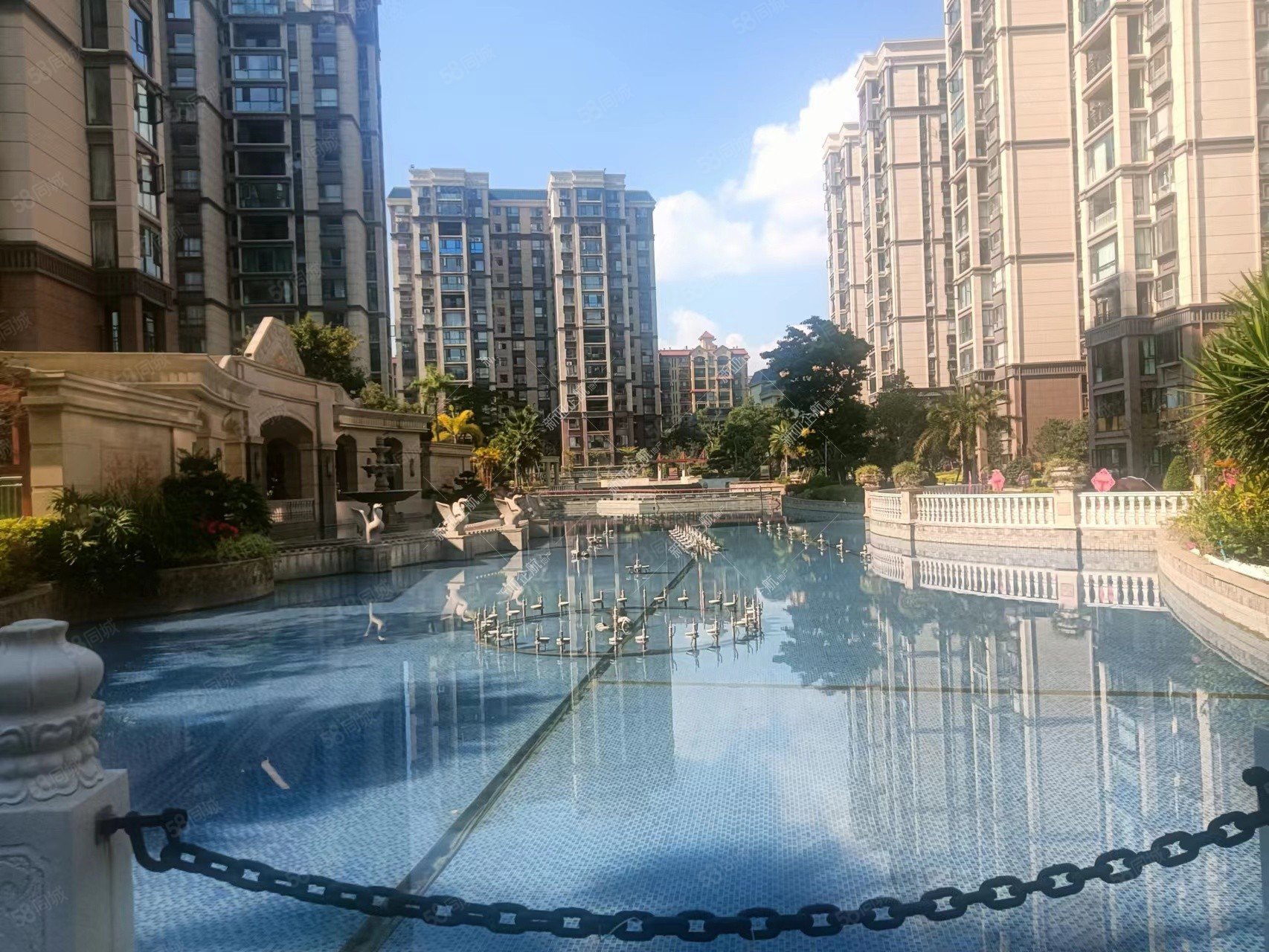 1293平洲际华府二期市政府85万精装3房南北11楼