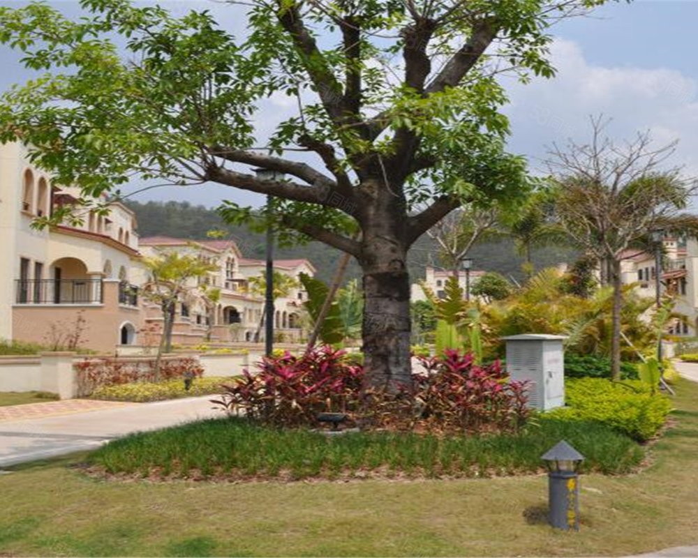 【半山名苑, 半山名苑小区详情,房价走势,房源,业主论坛】- 惠州58