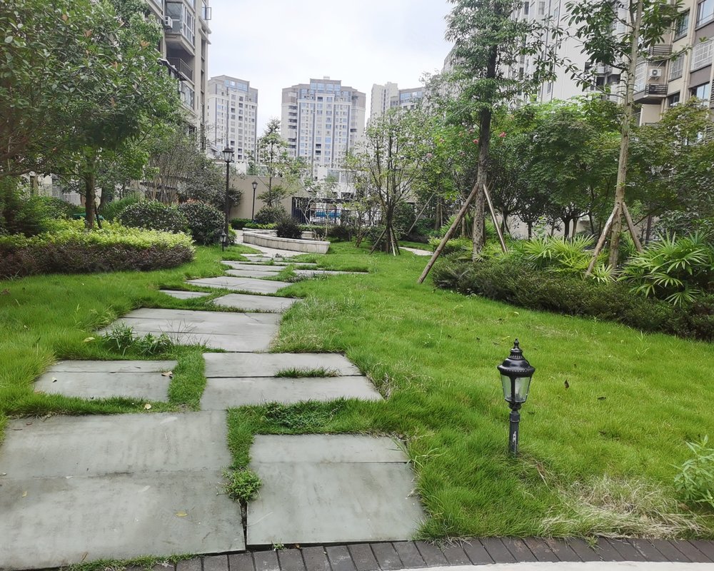 【圣桦公馆(营山), 圣桦公馆(营山)小区详情,房价走势,房源,业主论坛