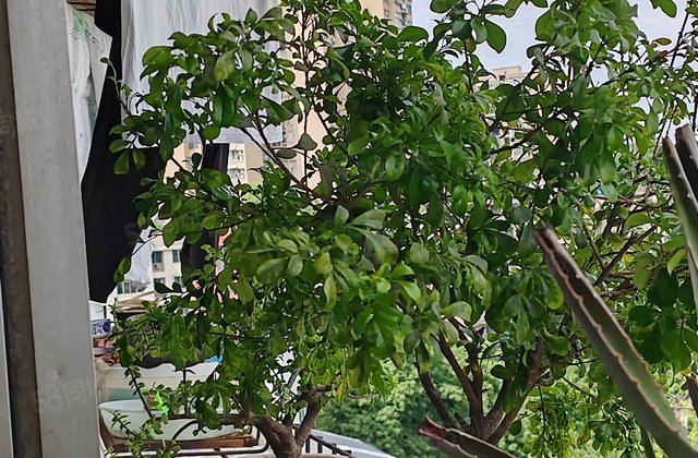 火车站路108号院2室1厅68㎡21万二手房图片