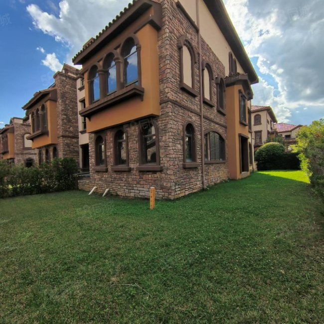 北部新洲莱茵别墅8室3厅7卫540㎡南北396万