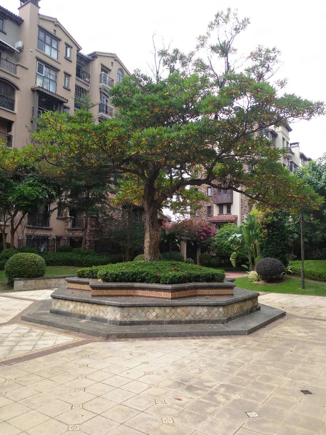 高端小区西海岸九小侨中美林谷精装大平层4房仁恒上东旁