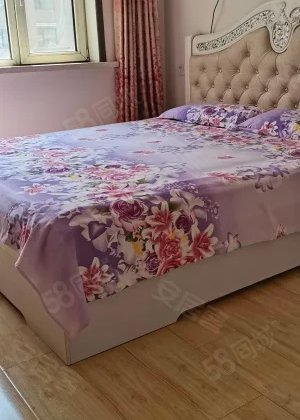 吉通水岸森林国际小镇2室1厅60.6㎡15.8万二手房图片