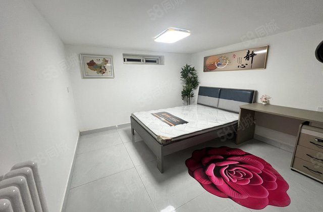 湖边 早市旁 城市主人一楼 精装修 商品住宅 带家具家电