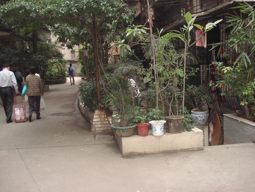 【区庄村, 区庄村小区详情,房价走势,房源,业主论坛】- 广州58同城