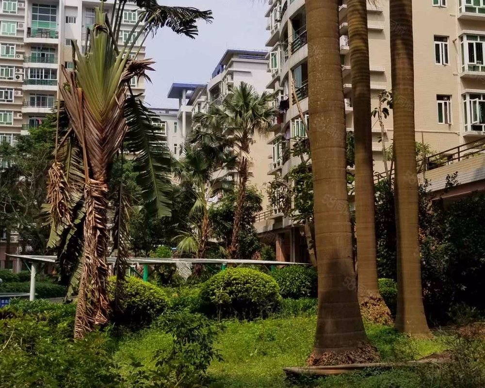 【阳光地带, 阳光地带小区详情,房价走势,房源,业主论坛】- 珠海58