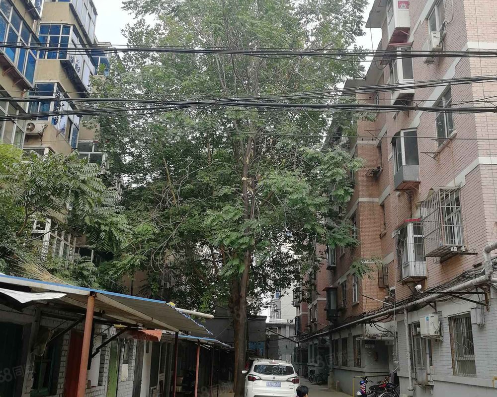 小马村商品楼小区详情,房价走势,房源,业主论坛】- 石家庄58同城