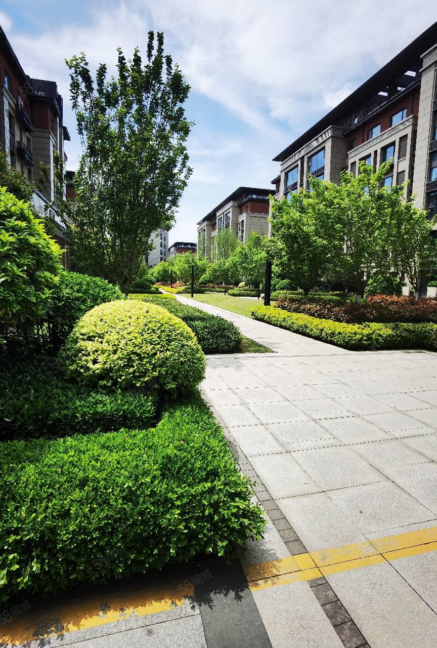 带两个车位储藏室 好楼层 元宝户型,奥德海棠-临沂58同城