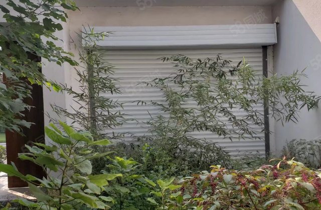 建业生态新城(别墅)4室2厅118㎡56万二手房图片