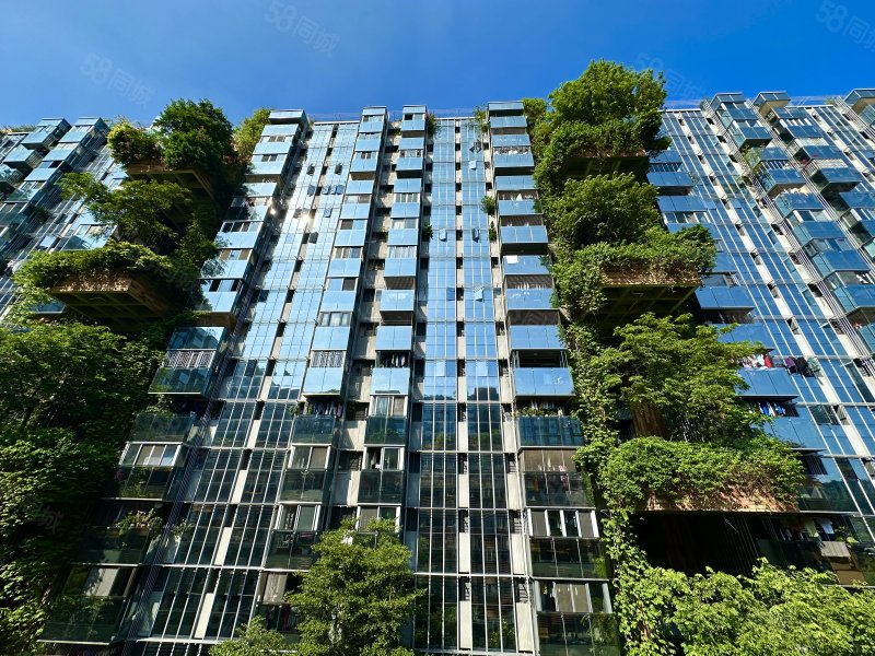 白云大道南万科峯境商业配套成熟正规商品房楼龄新