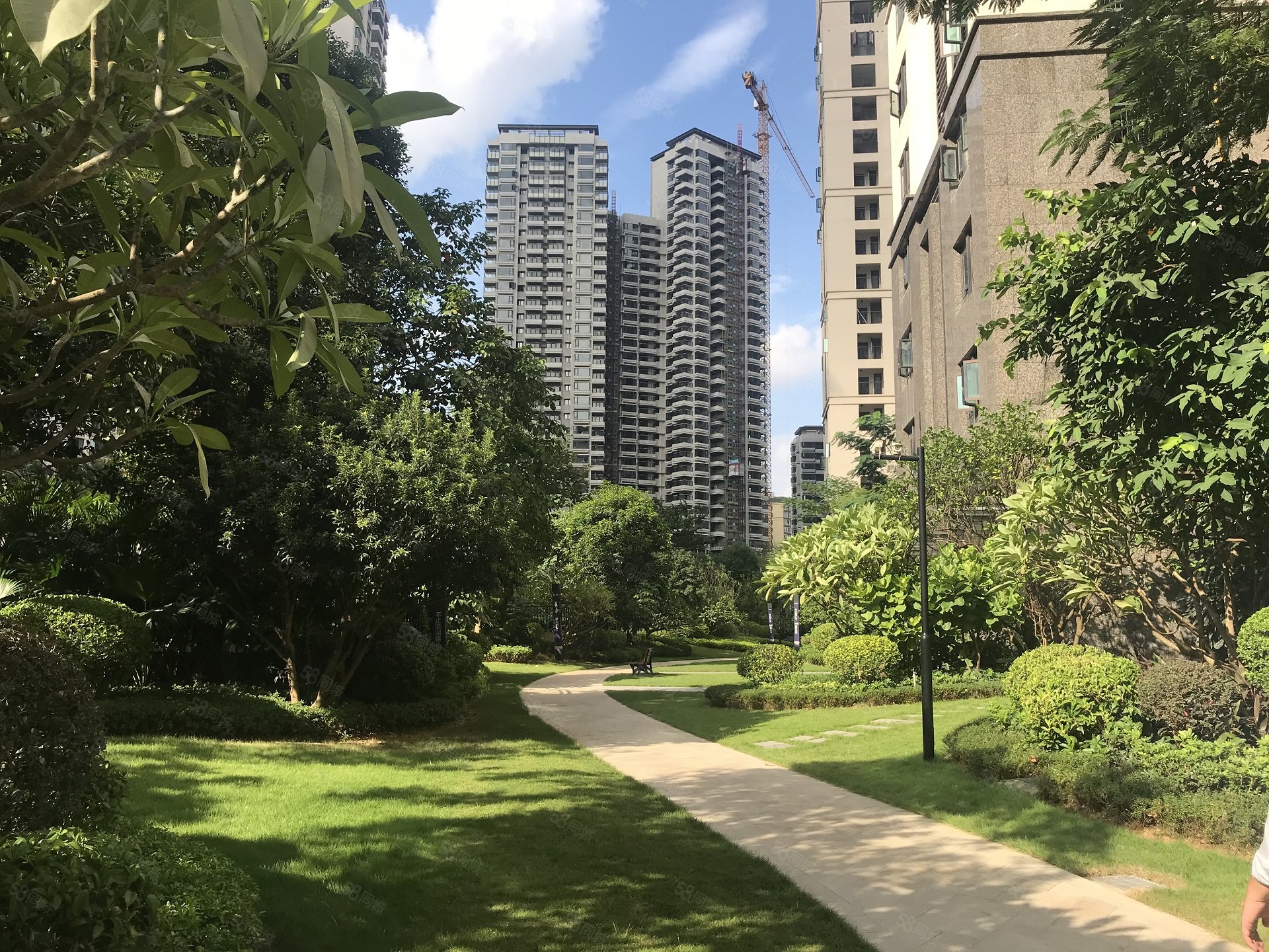 (龙岗大唐果)21楼朝南,龙岗大唐果-南宁58同城