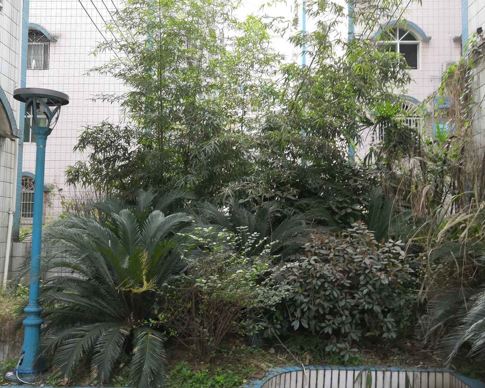 【瑞安花园, 瑞安花园小区详情,房价走势,房源,业主论坛】- 遵义58