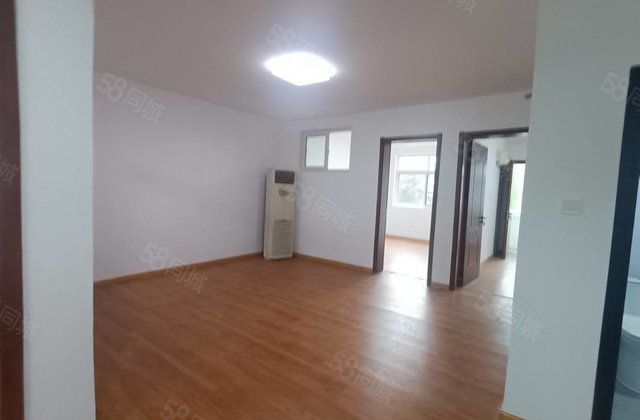 低价出售五交化家属院金鼎 市中心南北通透 商品住宅 小三居