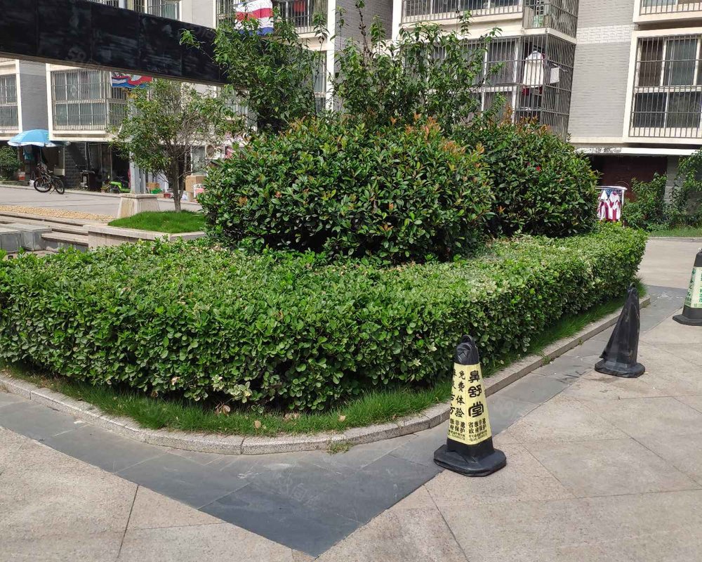 【水杉御景, 水杉御景小区详情,房价走势,房源,业主论坛】- 邳州58