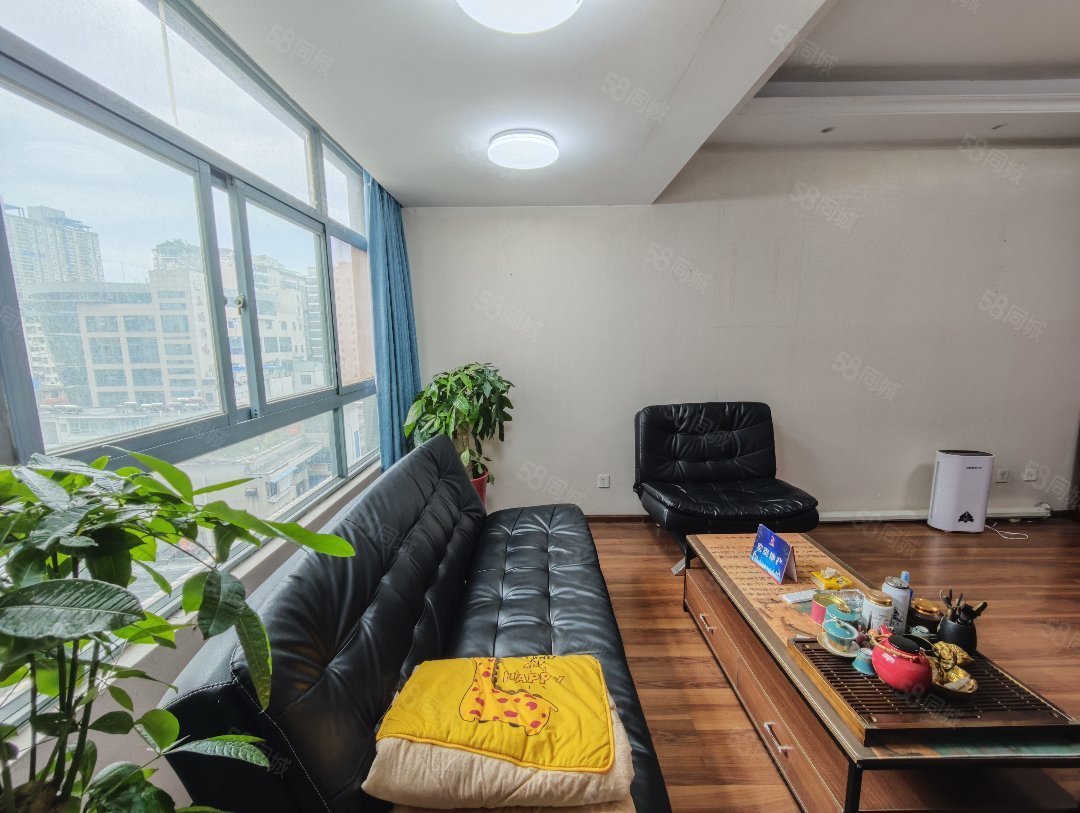 大都会广场1室1厅1卫49㎡南北33.8万