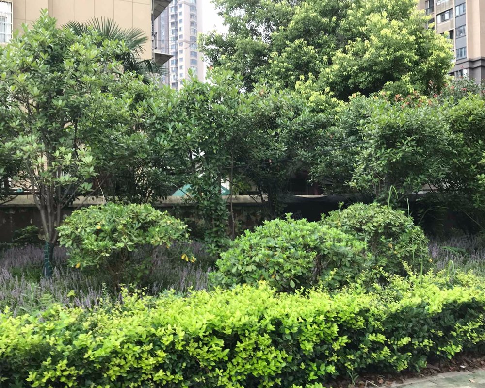 【鹦鹉大道214-220号小区, 鹦鹉大道214-220号小区小区详情,房价走势