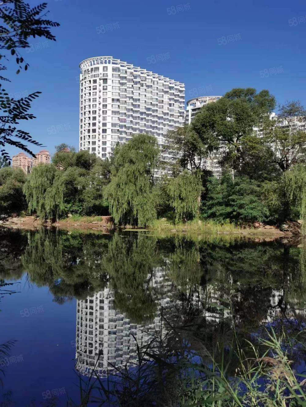 新上好房机会多多森林逸城b区纯海景房大三居送车位下房