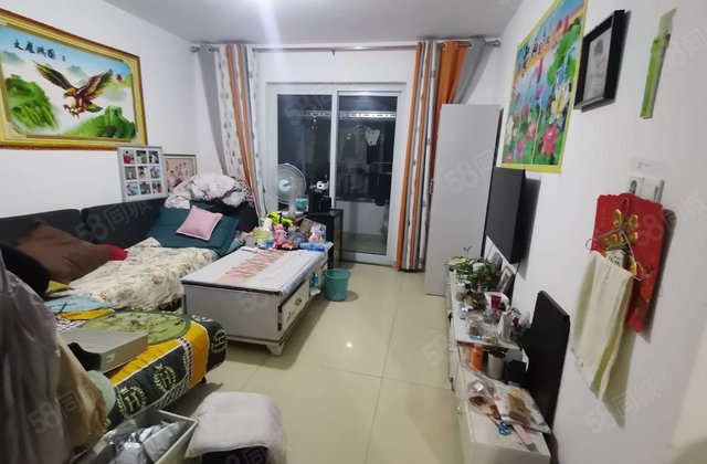 文轩总校 东关国际小高层 一梯两户 南北通透送储藏室 免大税