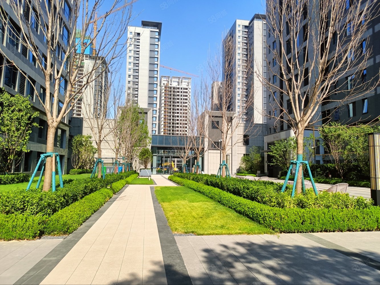 中南菩悦东望府(公寓住宅)3室2厅2卫116㎡南北205万