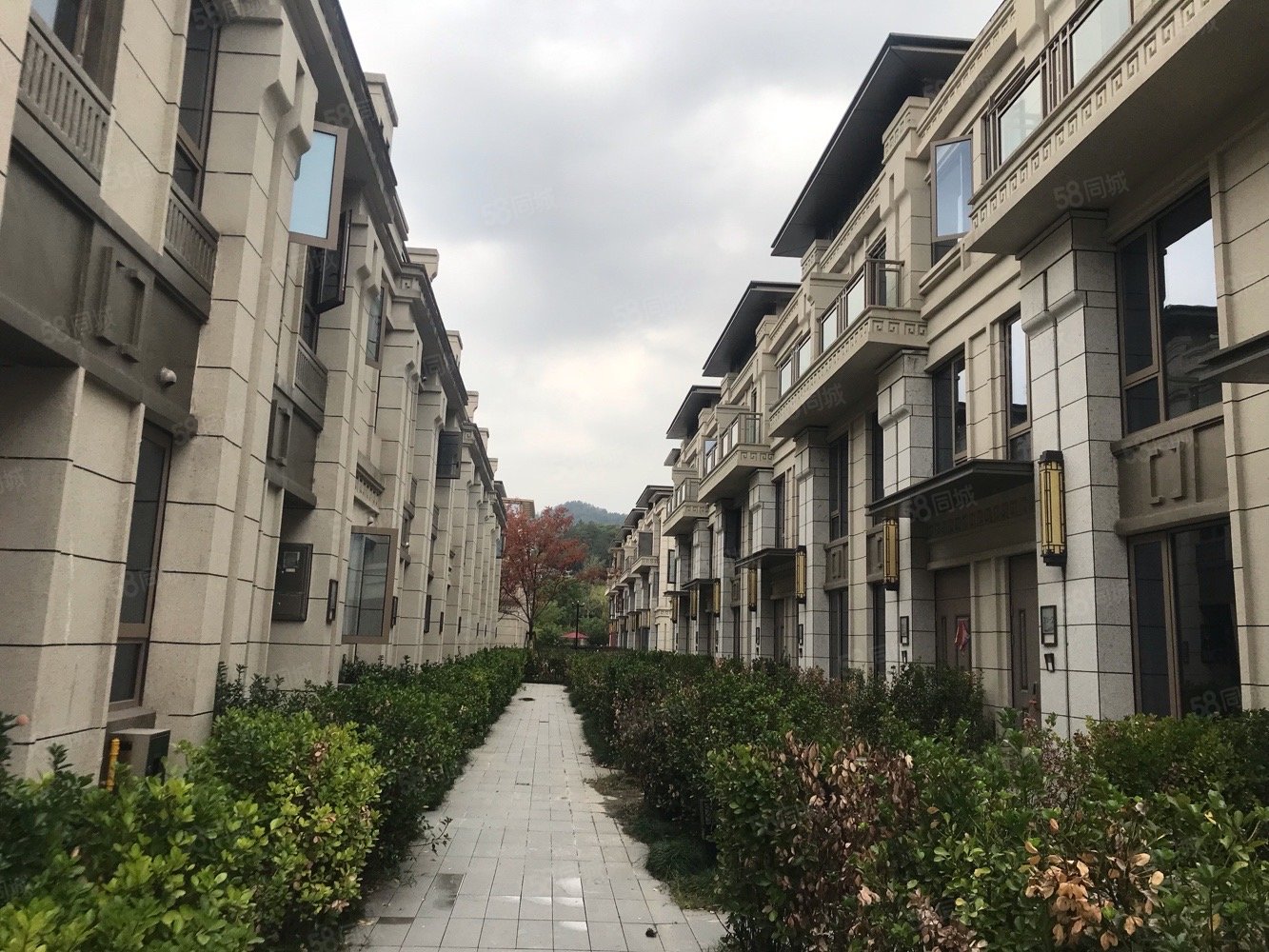 【10图】新城棠樾 排屋 前后带花园 送地下室车库 柯桥买别墅找我