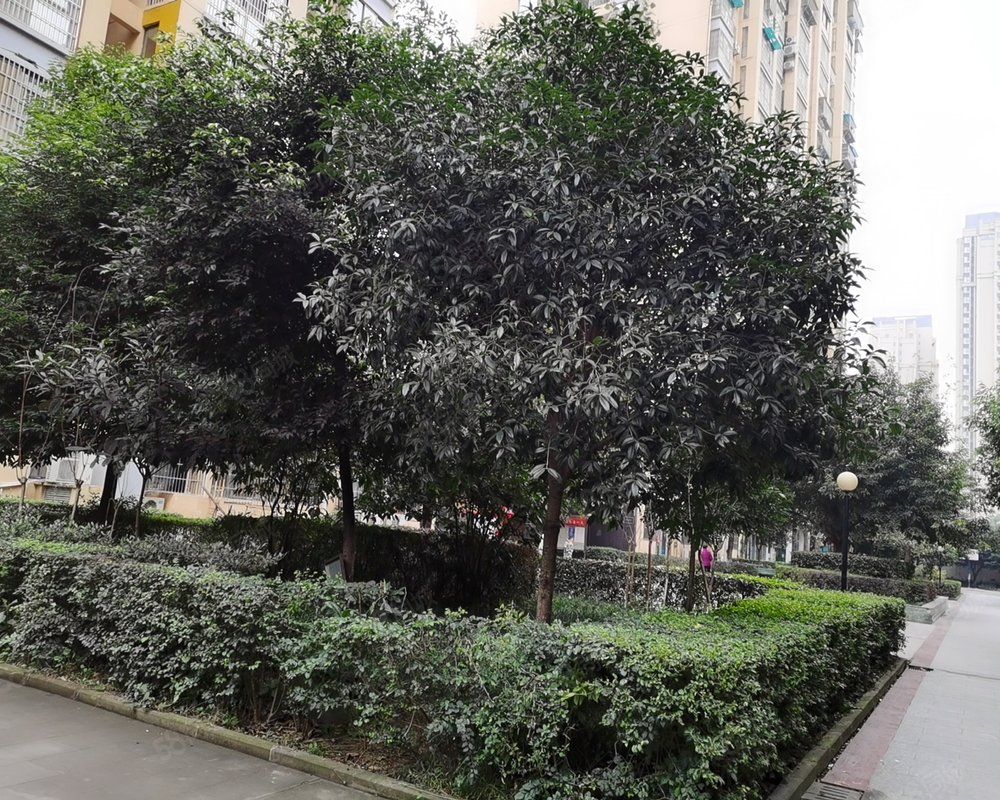 【泰和新城, 泰和新城小区详情,房价走势,房源,业主论坛】- 绵阳58