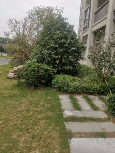 【金晖家园房价走势,金晖家园房屋出租,金晖家园二手房出售】- 温州58