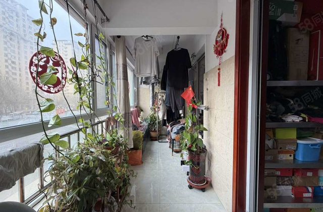 孟达国际新城A3区 3房 周边配套完善