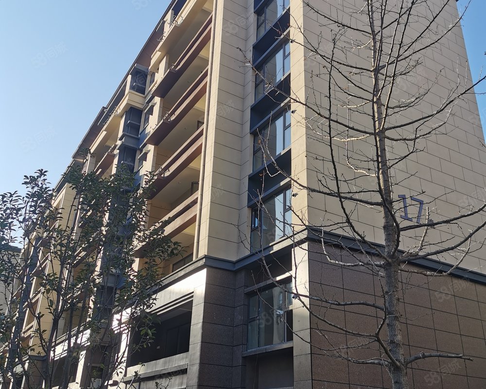 中南珑悦公寓住宅