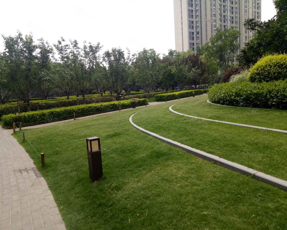 【三王庄滨河花园, 三王庄滨河花园小区详情,房价走势,房源,业主论坛