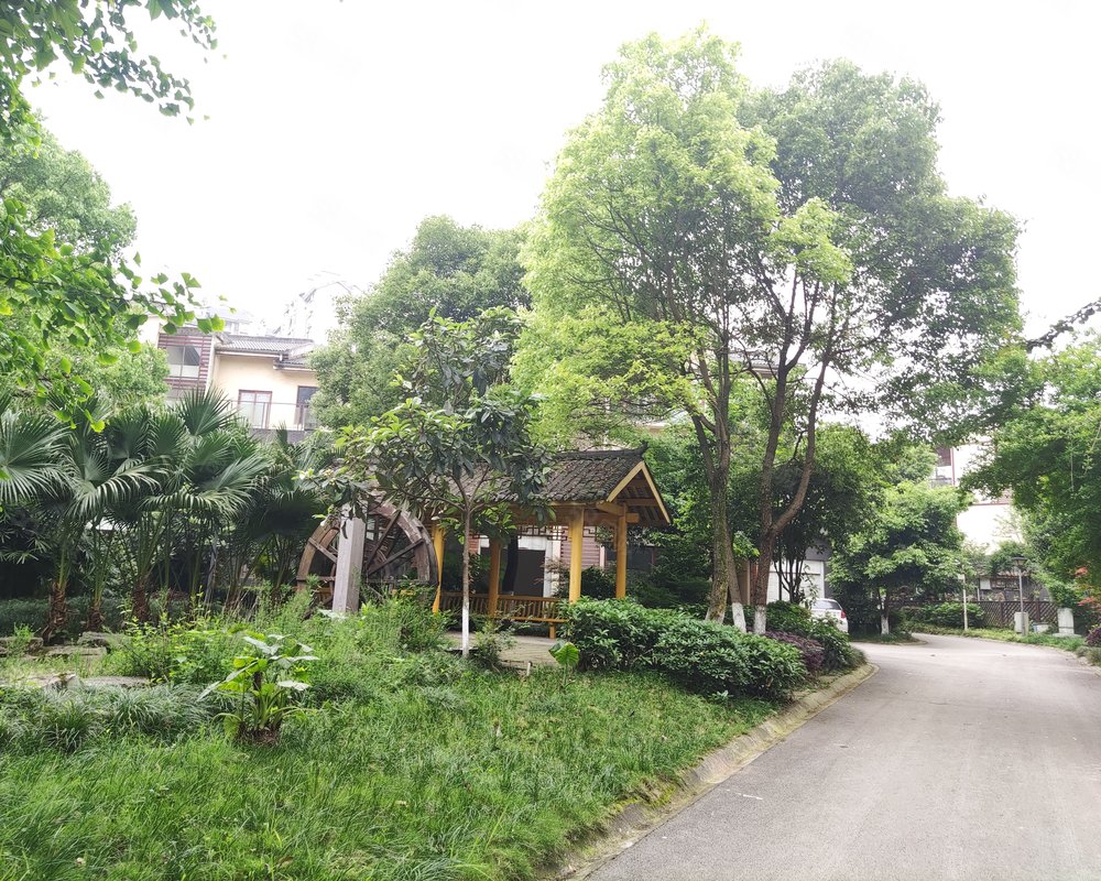 温江国色天香别墅图片