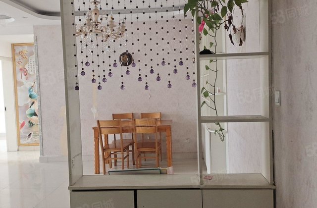 星光东昌丽都(南区) 朝南 楼层好 诚意出 送车位 房东直卖