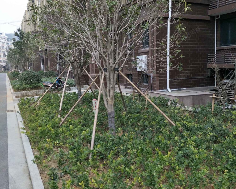 【悦景福邸, 悦景福邸小区详情,房价走势,房源,业主论坛】- 连云港58