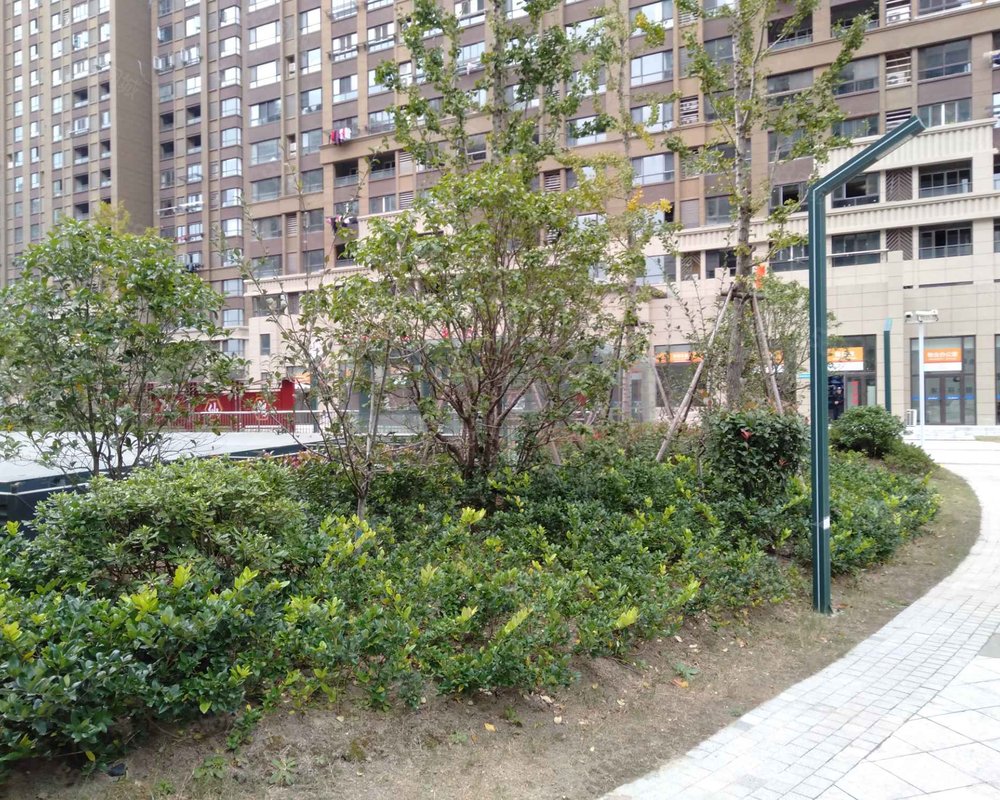 东郡丽水b区小区详情,房价走势,房源,业主论坛】- 如皋58同城